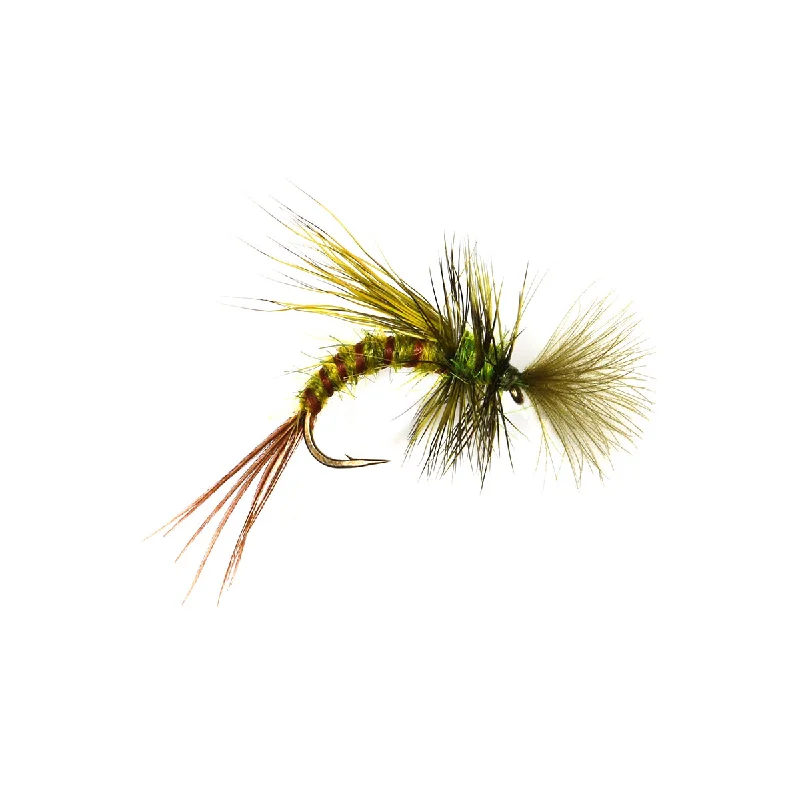 Fishing line loop holder-DH Mayfly Emerger - Greendrake