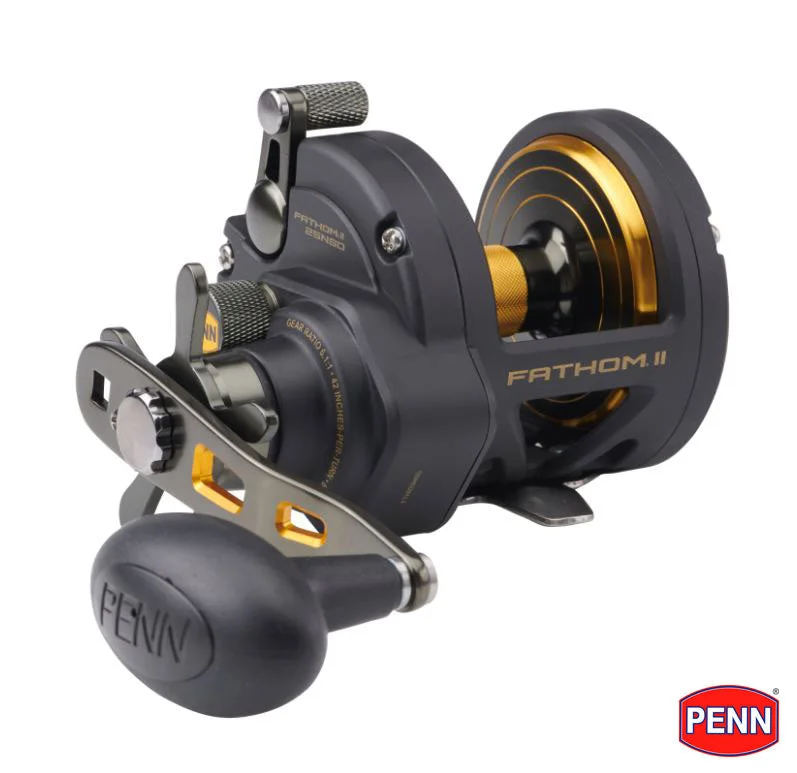 Fishing tackle modular rack-New PENN® Fathom® II 25N Star Drag Multiplier Reel - 1505234